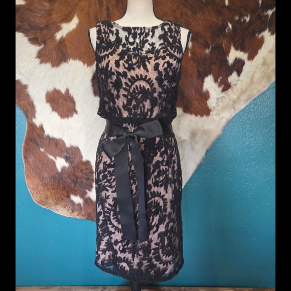Adrianna Papell Black and Cream Lace Midi Dress - Picture 1 of 8